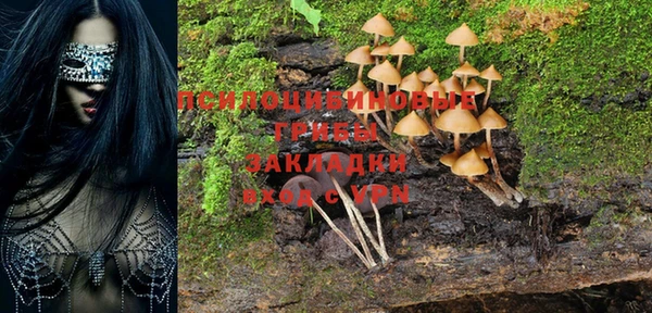метамфетамин Приозерск