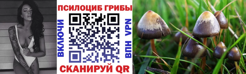 Галлюциногенные грибы GOLDEN TEACHER  Купить где  Свирск 